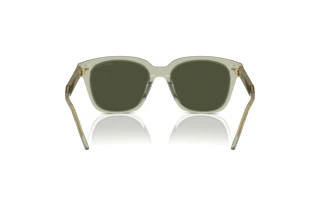 Rear view Giorgio Armani AR8210U (608331)