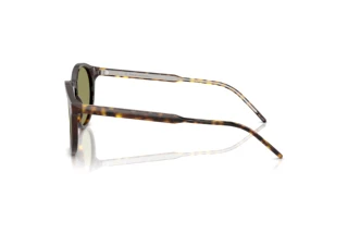 Side view Giorgio Armani AR8211 (587914)