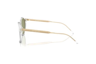 Side view Giorgio Armani AR8211 (607514)