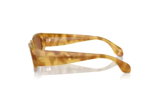Side view Giorgio Armani AR8216 (597973)