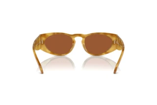 Rear view Giorgio Armani AR8216 (597973)