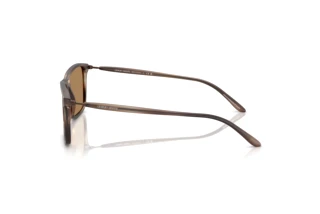 Side view Giorgio Armani AR8218 (6167M4)