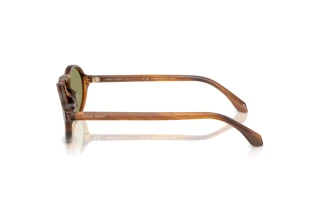 Side view Giorgio Armani AR8219U (616314)