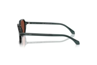 Side view Giorgio Armani AR8220 (6171C5)