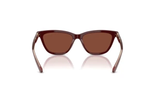 Rear view Giorgio Armani AR8221 (5955C5)