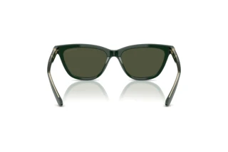Rear view Giorgio Armani AR8221 (617331)