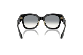Rear view Giorgio Armani AR8223 (500111)