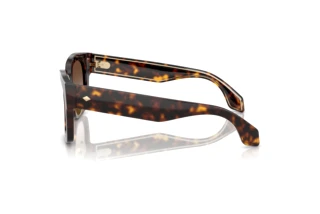 Side view Giorgio Armani AR8223 (502613)