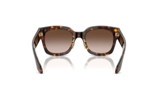 Rear view Giorgio Armani AR8223 (502613)