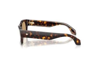 Side view Giorgio Armani AR8224 (502673)