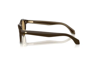 Side view Giorgio Armani AR8225 (619473)