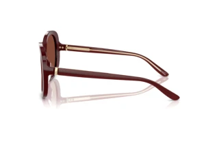 Side view Giorgio Armani AR8229U (5955C5)
