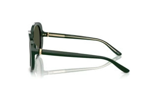 Side view Giorgio Armani AR8229U (617331)
