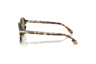 Side view Giorgio Armani AR8237 (623214)