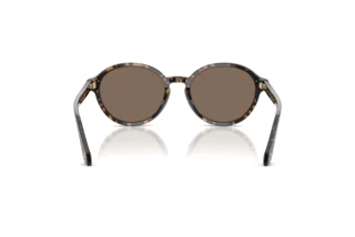 Rear view Giorgio Armani AR8237 (623573)