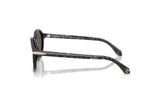 Side view Giorgio Armani AR8237 (6236B1)