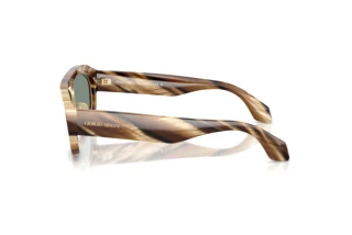 Side view Giorgio Armani AR8239 (6065/1)
