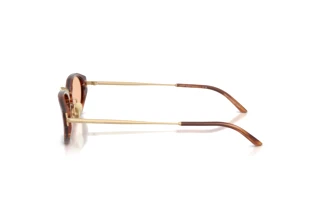 Side view Giorgio Armani AR8242 (616273)