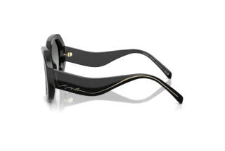 Side view Giorgio Armani AR8248 (500111)