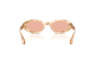 Rear view Giorgio Armani AR8249 (63914B)