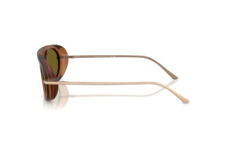 Side view Giorgio Armani AR8256 (6410/2)