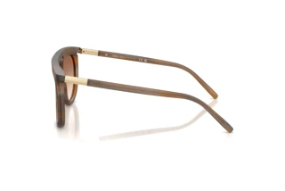 Side view Giorgio Armani AR8262 (642913)