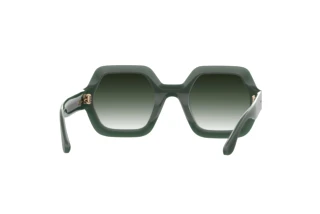 Rear view Isabel Marant IM 0004/N/S (1ED/9K)