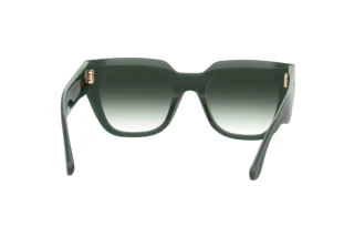 Rear view Isabel Marant IM 0158/S (1ED/9K)