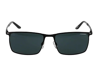 Side view Jaguar 37373 (4200)