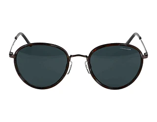 Side view Jaguar 37467 (5333)