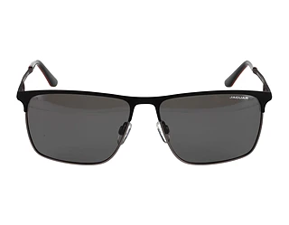 Side view Jaguar 37822 (6500)