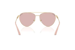Rear view Jimmy Choo JC4002B (3006/5)