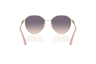Rear view Jimmy Choo JC4007BD (300636)