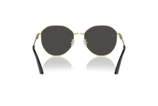 Rear view Jimmy Choo JC4007BD (300687)