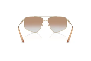 Rear view Jimmy Choo JC4011 (30060G)