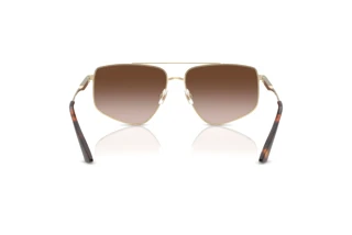 Rear view Jimmy Choo JC4011 (300613)