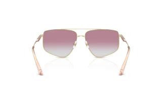 Rear view Jimmy Choo JC4011 (300658)