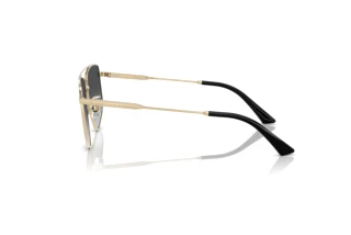 Side view Jimmy Choo JC4011 (3006T3)