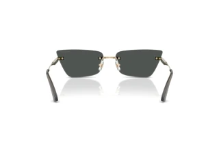 Rear view Jimmy Choo JC4012 (300687)