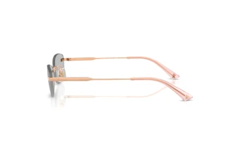 Side view Jimmy Choo JC4013D (300887)