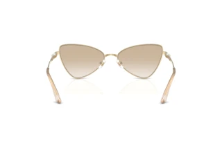 Rear view Jimmy Choo JC4015HB (300611)