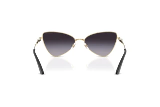 Rear view Jimmy Choo JC4015HB (30068G)