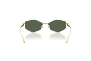 Rear view Jimmy Choo JC4017 (302371)