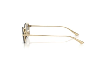 Side view Jimmy Choo JC4020B (30066G)