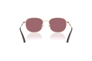 Rear view Jimmy Choo JC4025B (30061A)