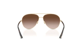 Rear view Jimmy Choo JC4026 (300613)