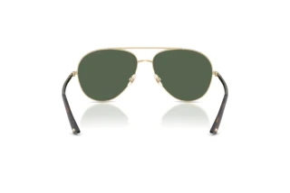 Rear view Jimmy Choo JC4026 (300671)