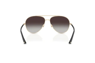 Rear view Jimmy Choo JC4026 (30068G)