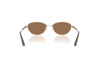 Rear view Jimmy Choo JC4032BD (300673)