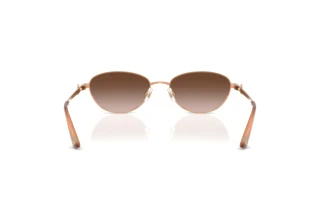 Rear view Jimmy Choo JC4032BD (300813)